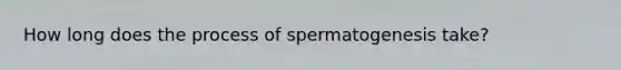 How long does the process of spermatogenesis take?