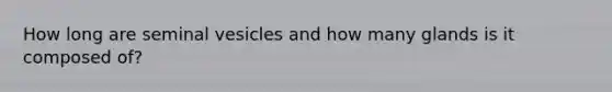 How long are seminal vesicles and how many glands is it composed of?