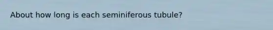 About how long is each seminiferous tubule?