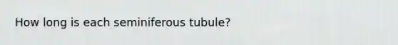 How long is each seminiferous tubule?