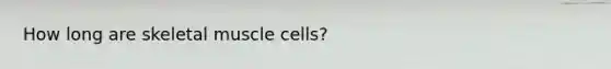 How long are skeletal muscle cells?