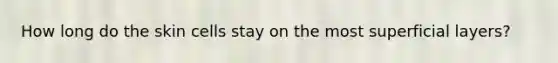 How long do the skin cells stay on the most superficial layers?