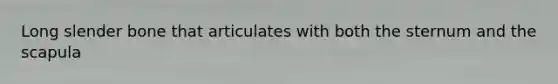 Long slender bone that articulates with both the sternum and the scapula