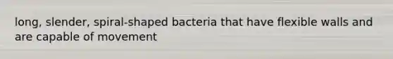 long, slender, spiral-shaped bacteria that have flexible walls and are capable of movement