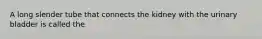 A long slender tube that connects the kidney with the urinary bladder is called the