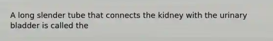 A long slender tube that connects the kidney with the urinary bladder is called the