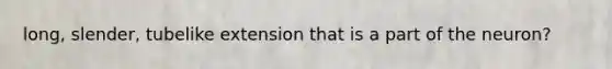 long, slender, tubelike extension that is a part of the neuron?