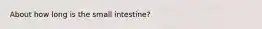 About how long is the small intestine?