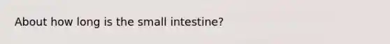 About how long is <a href='https://www.questionai.com/knowledge/kt623fh5xn-the-small-intestine' class='anchor-knowledge'>the small intestine</a>?