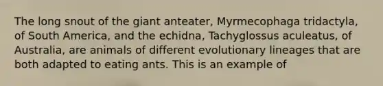 The long snout of the giant anteater, Myrmecophaga tridactyla, of South America, and the echidna, Tachyglossus aculeatus, of Australia, are animals of different evolutionary lineages that are both adapted to eating ants. This is an example of