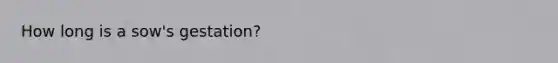 How long is a sow's gestation?