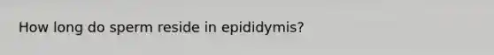 How long do sperm reside in epididymis?