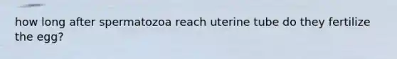 how long after spermatozoa reach uterine tube do they fertilize the egg?