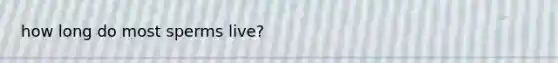 how long do most sperms live?