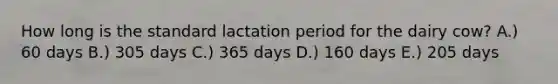 How long is the standard lactation period for the dairy cow? A.) 60 days B.) 305 days C.) 365 days D.) 160 days E.) 205 days