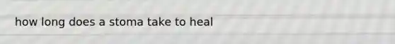 how long does a stoma take to heal