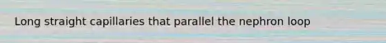 Long straight capillaries that parallel the nephron loop