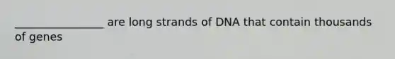 ________________ are long strands of DNA that contain thousands of genes