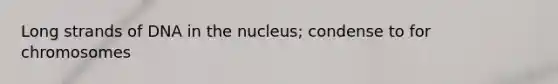 Long strands of DNA in the nucleus; condense to for chromosomes