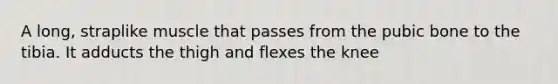 A long, straplike muscle that passes from the pubic bone to the tibia. It adducts the thigh and flexes the knee