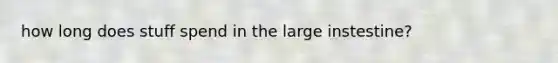 how long does stuff spend in the large instestine?