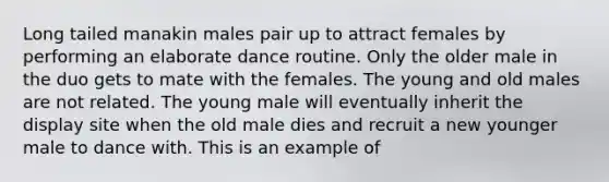 Long tailed manakin males pair up to attract females by performing an elaborate dance routine. Only the older male in the duo gets to mate with the females. The young and old males are not related. The young male will eventually inherit the display site when the old male dies and recruit a new younger male to dance with. This is an example of