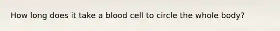 How long does it take a blood cell to circle the whole body?