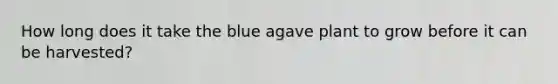 How long does it take the blue agave plant to grow before it can be harvested?