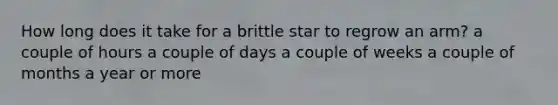 How long does it take for a brittle star to regrow an arm? a couple of hours a couple of days a couple of weeks a couple of months a year or more