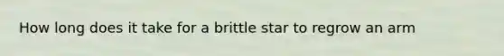 How long does it take for a brittle star to regrow an arm