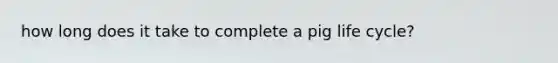 how long does it take to complete a pig life cycle?
