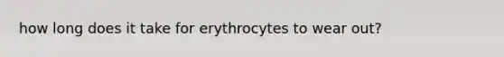 how long does it take for erythrocytes to wear out?