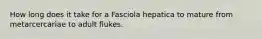 How long does it take for a Fasciola hepatica to mature from metarcercariae to adult flukes.