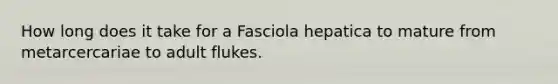 How long does it take for a Fasciola hepatica to mature from metarcercariae to adult flukes.