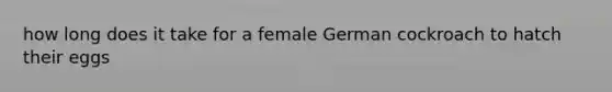 how long does it take for a female German cockroach to hatch their eggs