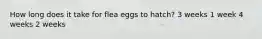 How long does it take for flea eggs to hatch? 3 weeks 1 week 4 weeks 2 weeks