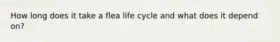 How long does it take a flea life cycle and what does it depend on?