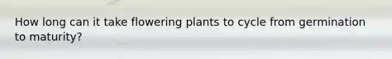 How long can it take flowering plants to cycle from germination to maturity?