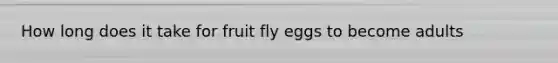 How long does it take for fruit fly eggs to become adults