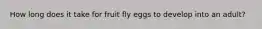 How long does it take for fruit fly eggs to develop into an adult?