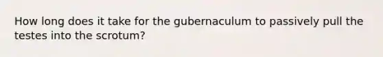 How long does it take for the gubernaculum to passively pull the testes into the scrotum?