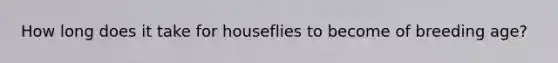 How long does it take for houseflies to become of breeding age?