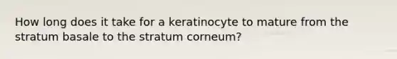 How long does it take for a keratinocyte to mature from the stratum basale to the stratum corneum?