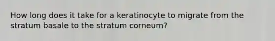 How long does it take for a keratinocyte to migrate from the stratum basale to the stratum corneum?