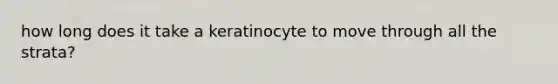 how long does it take a keratinocyte to move through all the strata?