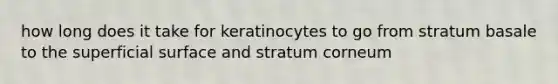 how long does it take for keratinocytes to go from stratum basale to the superficial surface and stratum corneum