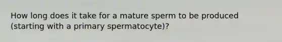 How long does it take for a mature sperm to be produced (starting with a primary spermatocyte)?