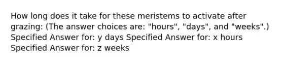 How long does it take for these meristems to activate after grazing: (The answer choices are: "hours", "days", and "weeks".) Specified Answer for: y days Specified Answer for: x hours Specified Answer for: z weeks