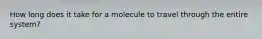 How long does it take for a molecule to travel through the entire system?