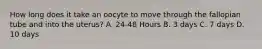How long does it take an oocyte to move through the fallopian tube and into the uterus? A. 24-48 Hours B. 3 days C. 7 days D. 10 days